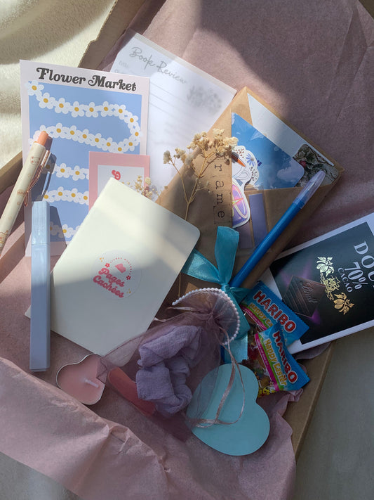 N°28 - Box Livre mystère occasion - Format poche - Drame